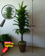 Plante Artificielle Haut de Gamme 1,70m